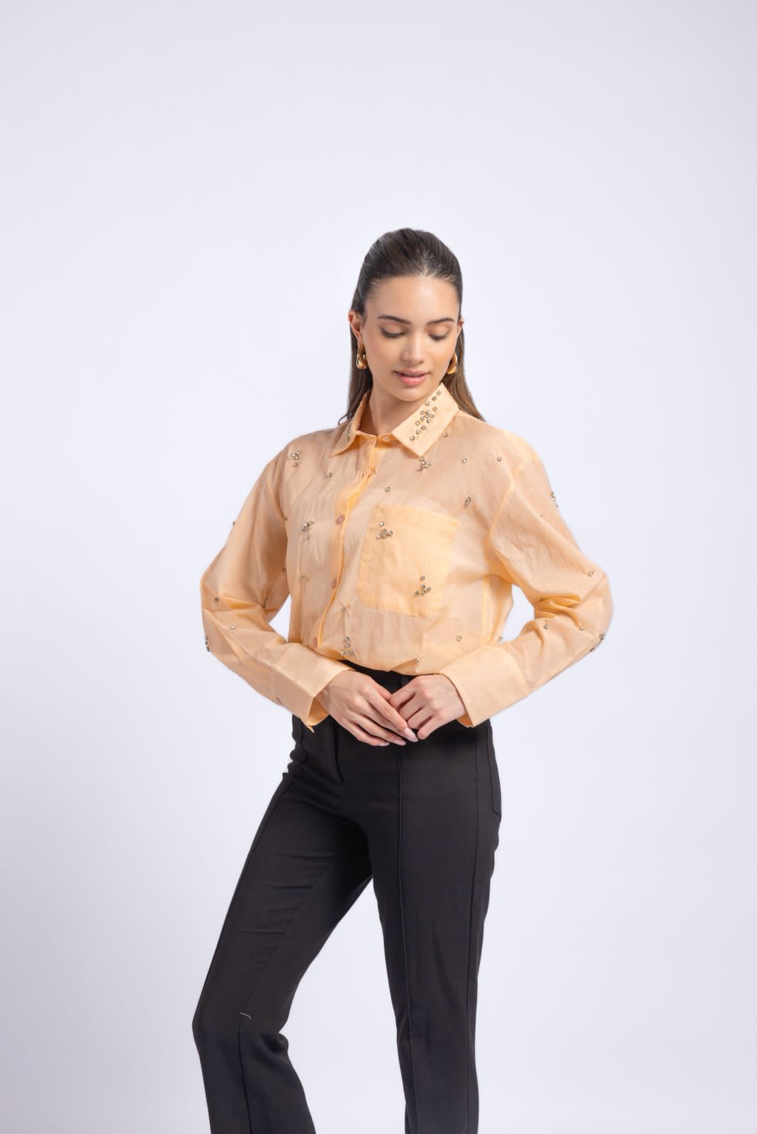 Chandri fabric shirt